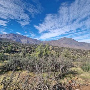 Venta Gran Parcela Fundo San Francisco / Los Andes / V Región de 8.900 mts.2 aprox. full