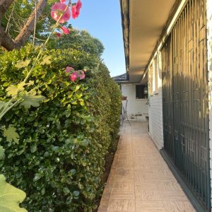 Venta Casa Amazonas / Tomas Moro / Las Condes full