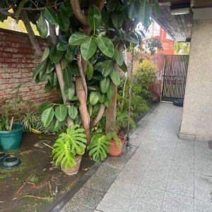 Venta casa Las Hualtatas / Tranqueras / Residencial y comercial full