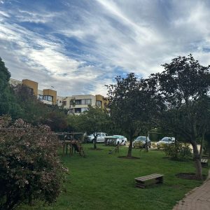 Venta dpto. remodelado Balmaceda /  Parque Reñaca / Viña del Mar full