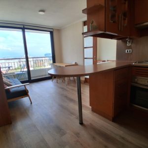 Venta Impecable Dpto. Antonio Bellet/ Andres Bello / Providencia full
