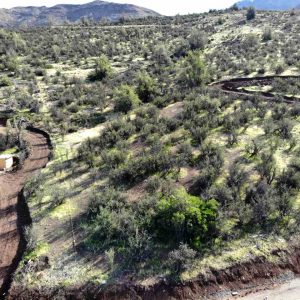 Venta Gran Parcela Fundo San Francisco / Los Andes / V Región de 8.900 mts.2 aprox. full