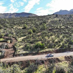 Venta Gran Parcela Fundo San Francisco / Los Andes / V Región de 8.900 mts.2 aprox. full