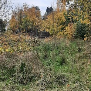Venta terreno de 5.115 m² para Desarrollo Inmobiliario | Zona C2 Osorno full