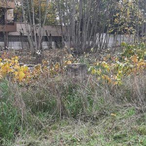 Venta terreno de 5.115 m² para Desarrollo Inmobiliario | Zona C2 Osorno full