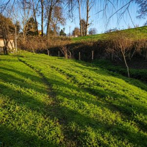 Parcela de 5.000 m² con domo amoblado, estero natural y entorno único a solo 8 minutos de Osorno full