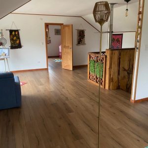 Oportunidad Casa en Reserva Frutillar | Laguna | Marina | Playa | Bosque nativo full