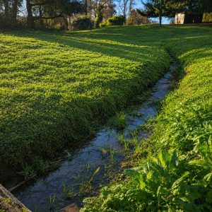 Parcela de 5.000 m² con domo amoblado, estero natural y entorno único a solo 8 minutos de Osorno full