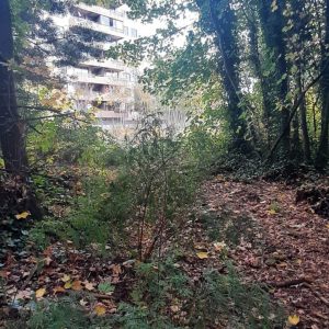 Venta terreno de 5.115 m² para Desarrollo Inmobiliario | Zona C2 Osorno full