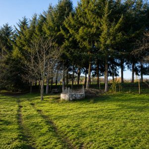 Parcela de 5.000 m² con domo amoblado, estero natural y entorno único a solo 8 minutos de Osorno full