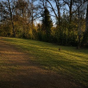 Parcela de 5.000 m² con domo amoblado, estero natural y entorno único a solo 8 minutos de Osorno full