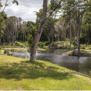 Oportunidad Casa en Reserva Frutillar | Laguna | Marina | Playa | Bosque nativo full