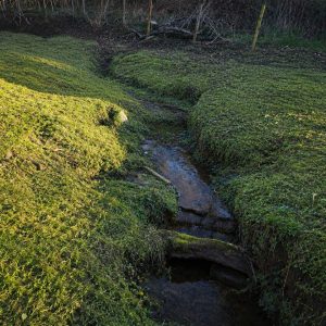 Parcela de 5.000 m² con domo amoblado, estero natural y entorno único a solo 8 minutos de Osorno full