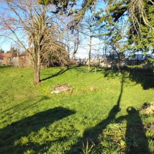 Terreno de 3,9 Há en Osorno para Proyecto Inmobiliario Mixto (Vivienda y Comercio) full