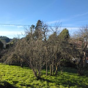 Terreno de 3,9 Há en Osorno para Proyecto Inmobiliario Mixto (Vivienda y Comercio) full