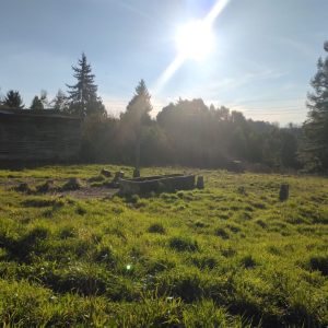 Terreno de 3,9 Há en Osorno para Proyecto Inmobiliario Mixto (Vivienda y Comercio) full