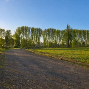 Exclusivo Condominio de Parcelas, a solo 8 km de Osorno por la Ruta a Puerto Octay full