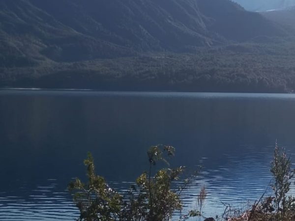 Venta Parcela 2,7 Hectáreas / 90 Metros de Playa / Lago Rupanco / Las Gaviotas
