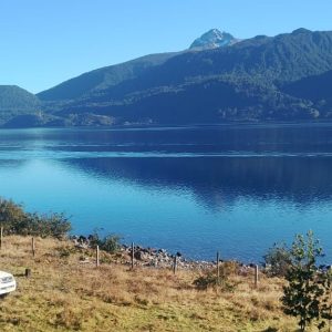 Venta Parcela 2,7 Hectáreas / 90 Metros de Playa / Lago Rupanco / Las Gaviotas full