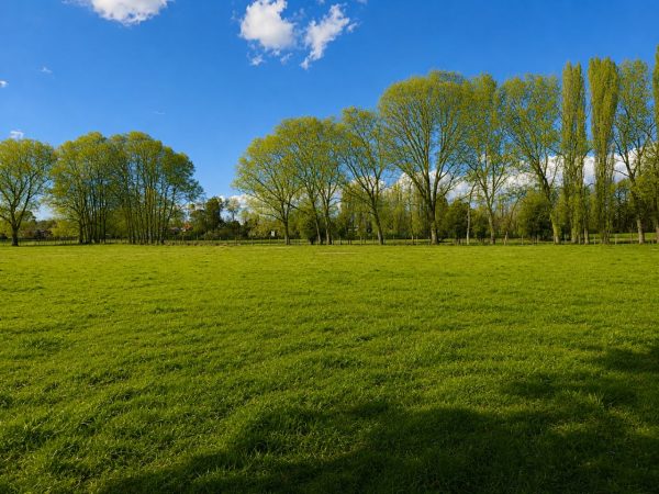 Venta Parcelas 5.000 m² / Condominio de Solo 12 Parcelas / Pelleco – Camino a Mulpulmo / Osorno