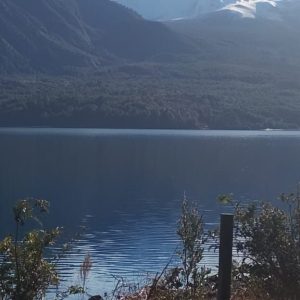 Venta Parcela 2,7 Hectáreas / 90 Metros de Playa / Lago Rupanco / Las Gaviotas full