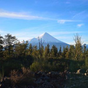 Venta Parcelas 5.000 m² / Aerodromo / Parque Volcanes / Ensenada full