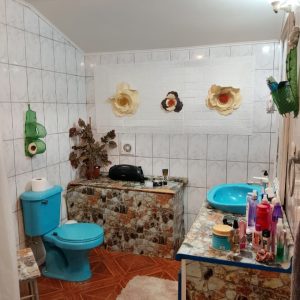 Venta Amplia Casa 7 Dormitorios / Kolbe Bajo / Osorno full