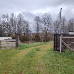 Venta Casa en Parcela, 3 Dormitorios / Ruta U-55 km 12 / Osorno full