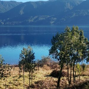 Venta Parcela 2,7 Hectáreas / 90 Metros de Playa / Lago Rupanco / Las Gaviotas full