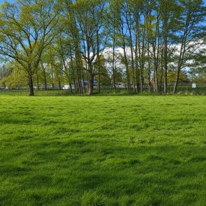 Venta Parcelas 5.000 m² / Condominio de Solo 12 Parcelas / Pelleco – Camino a Mulpulmo / Osorno full