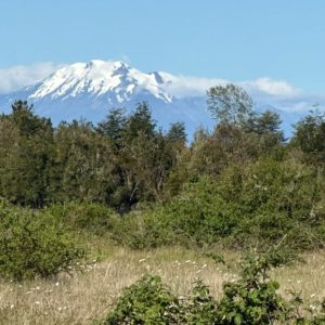 Venta Parcela 5.000 m² / Agua y Luz / Sector Aeropuerto El Tepual / Puerto Montt full