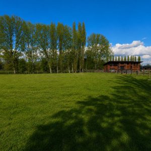Venta Parcelas 5.000 m² / Condominio de Solo 12 Parcelas / Pelleco – Camino a Mulpulmo / Osorno full