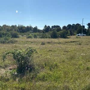 Venta Parcela 5.000 m² / Agua y Luz / Sector Aeropuerto El Tepual / Puerto Montt full
