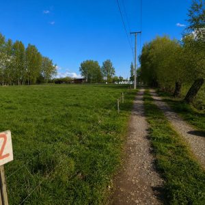 Venta Parcelas 5.000 m² / Condominio de Solo 12 Parcelas / Pelleco – Camino a Mulpulmo / Osorno full
