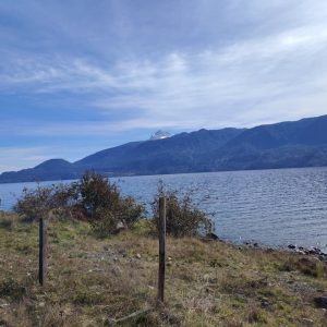 Venta Parcela 2,7 hectáreas orilla Lago Rupancto/ 190 Metros de Playa / Las Gaviotas full