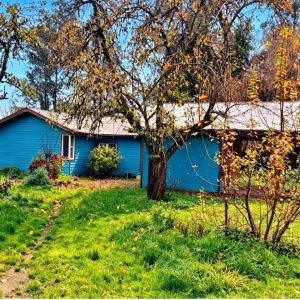 Venta Casa en Parcela / 3 Dormitorios / Pichil / Osorno full