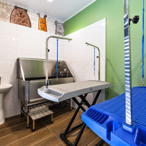 Venta Departamento Nuevo / 1 Dormitorio + 1 Baño / Barrio Dieciocho – Santiago Centro full