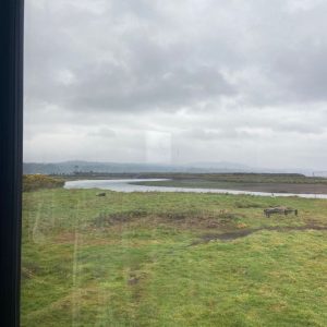 Venta Casa en Parcela, Sector Chamiza, Puerto Montt full