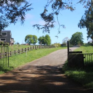 Venta exclusivas Parcelas / 5 minutos de Frutillar / Región de Los Lagos full