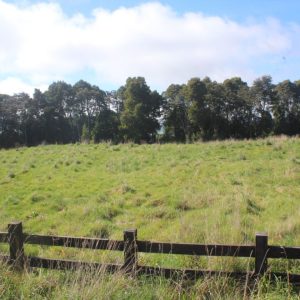 Venta exclusivas Parcelas / 5 minutos de Frutillar / Región de Los Lagos full