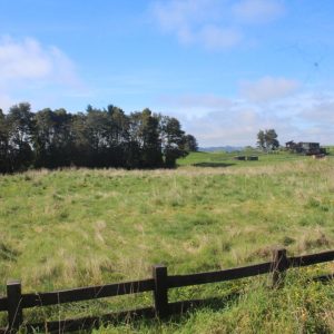Venta exclusivas Parcelas / 5 minutos de Frutillar / Región de Los Lagos full